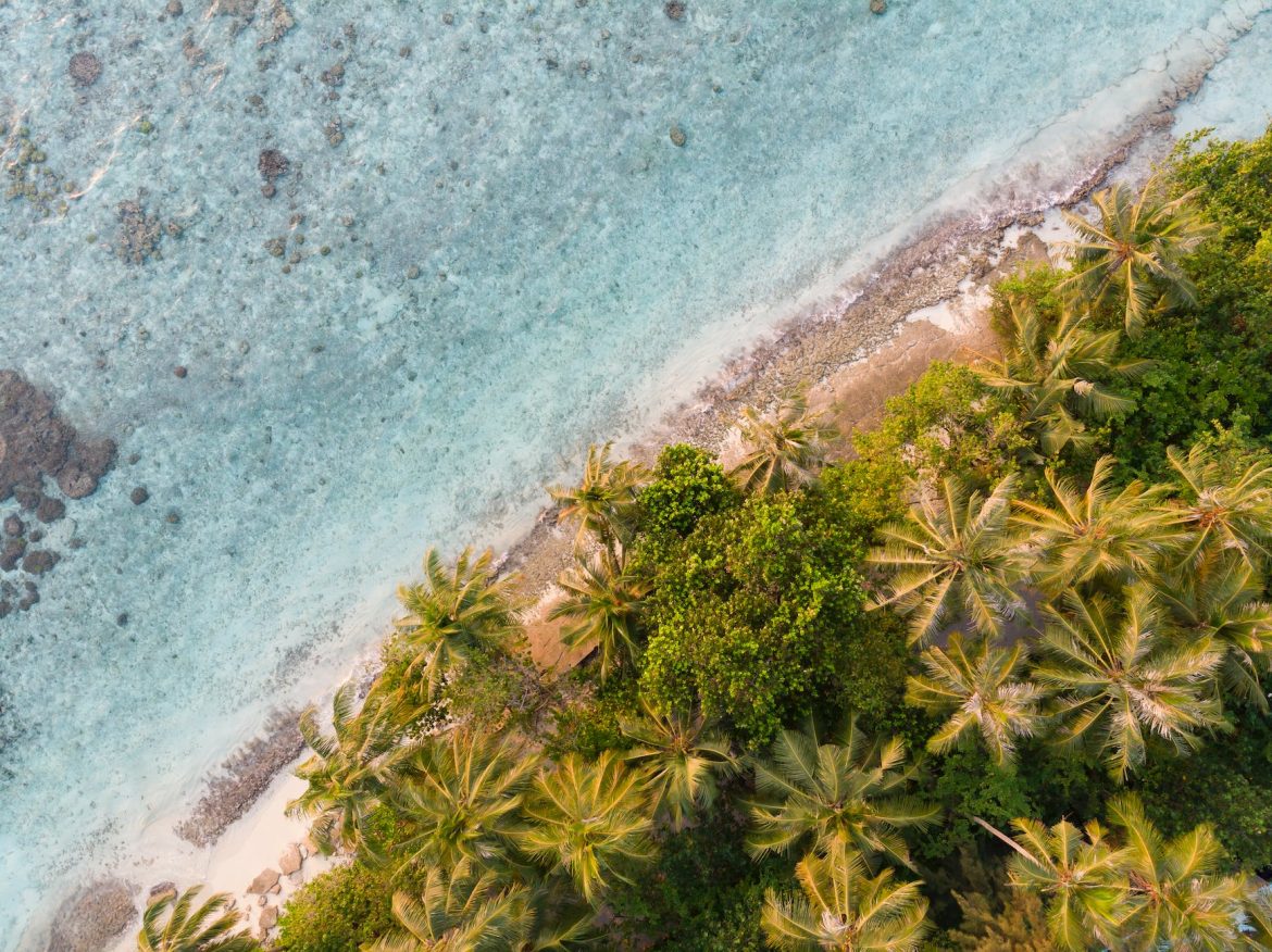 aavax ile ilgili en son kullanici yorumlari ve incelemeler